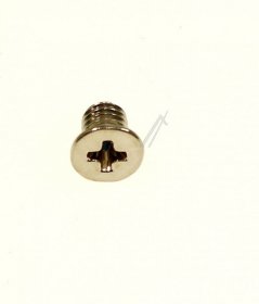 Screw - 49029123 Friction Right [Candy Hoover]