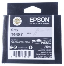 Epson Cartridge - T46s C13t46s700 Epson Ink Gray 25ml