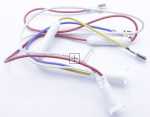 Signal Rail - 140058121017 Signal Lamp White [Electrolux Aeg]